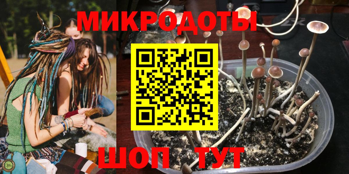 Псилоцибиновые грибы ЛСД Сокол