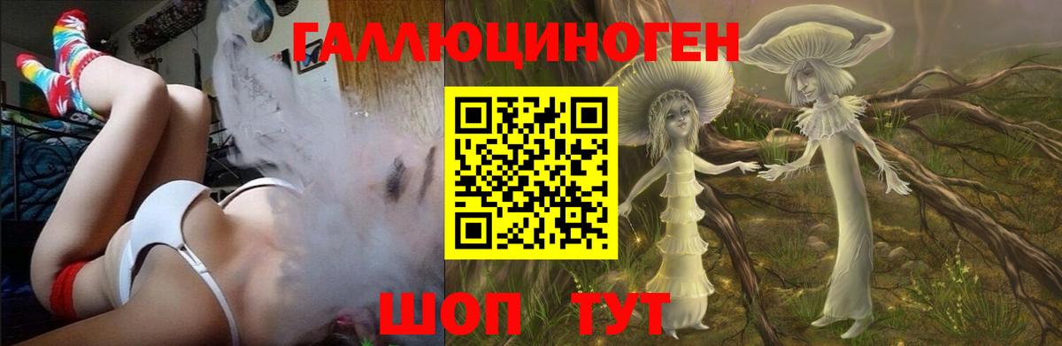 Галлюциногенные грибы Psilocybe  Вход с VPN  Галлюциногенные грибы GOLDEN TEACHER  Сокол 