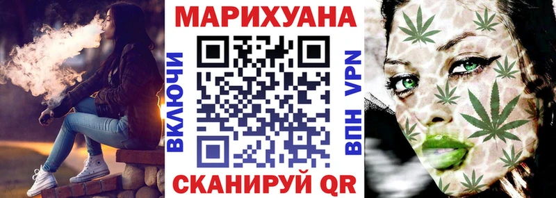 гидра ссылки  как найти закладки  Сокол  Марихуана сатива 